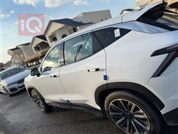 جيتور داشينج